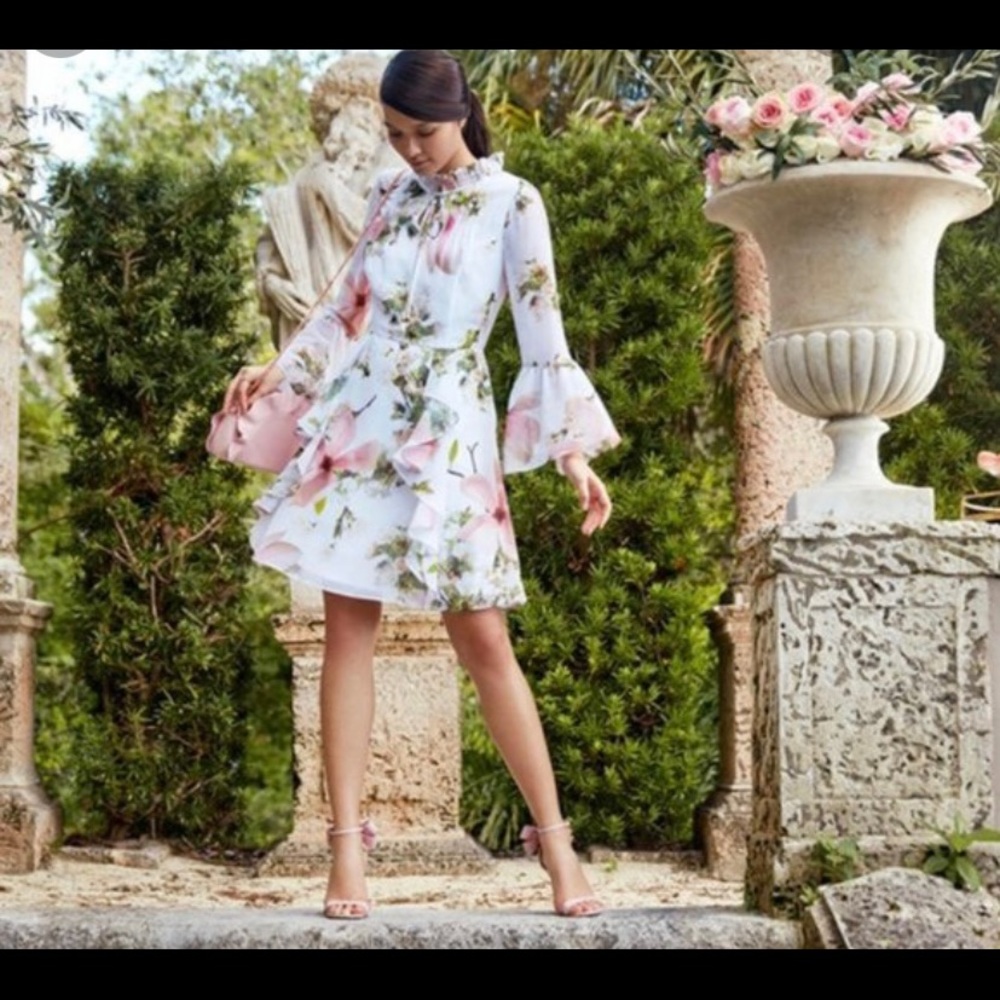 Ted Baker Beccaa Harmony Dress size 1
